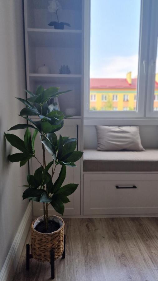 Ferienwohnung Alfama Garden Grudziądz Exterior foto